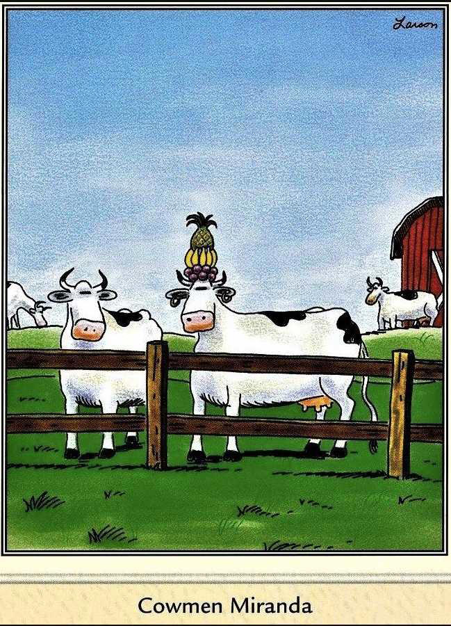 7 best Far Side comics with the worst puns