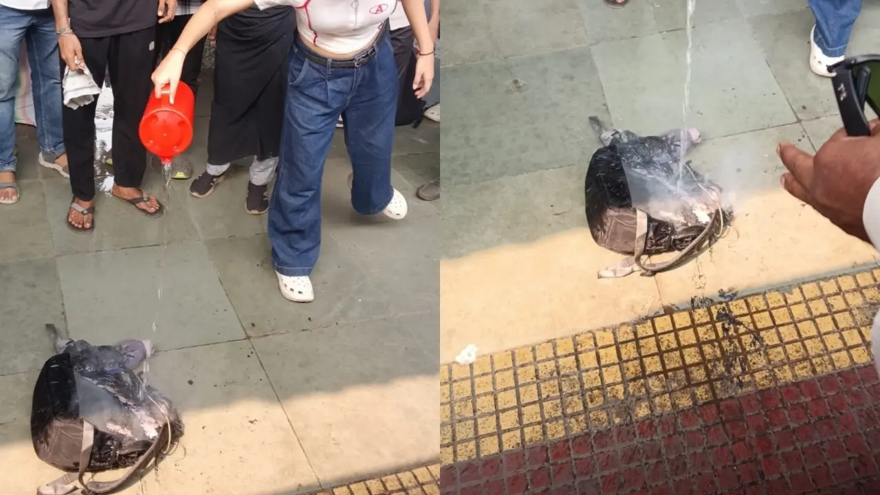 Power bank catches fire in Mumbai local train's ladies' coach near ...