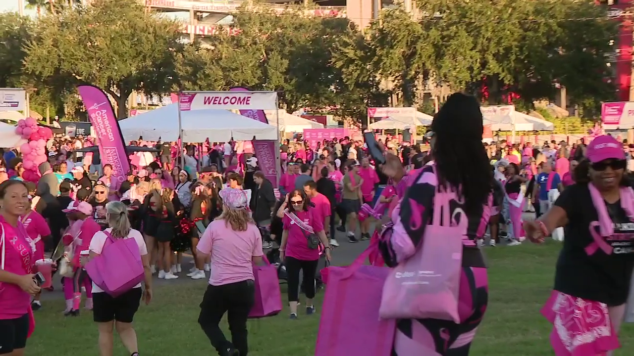 Sea of pink fills Raymond James Stadium for annual 'Making Strides ...