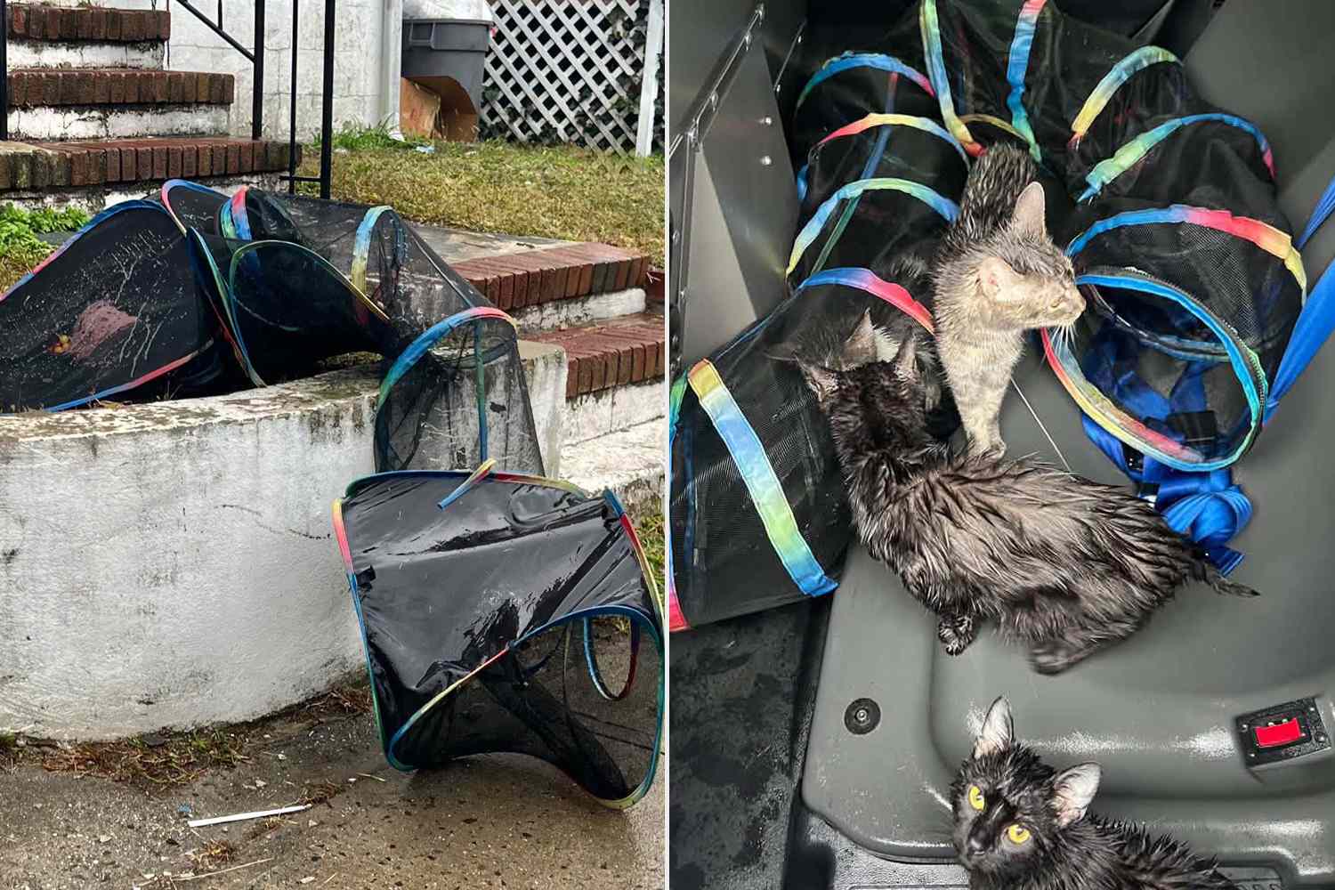 New Jersey police got a call about a mesh tunnel in a yard. When they ...