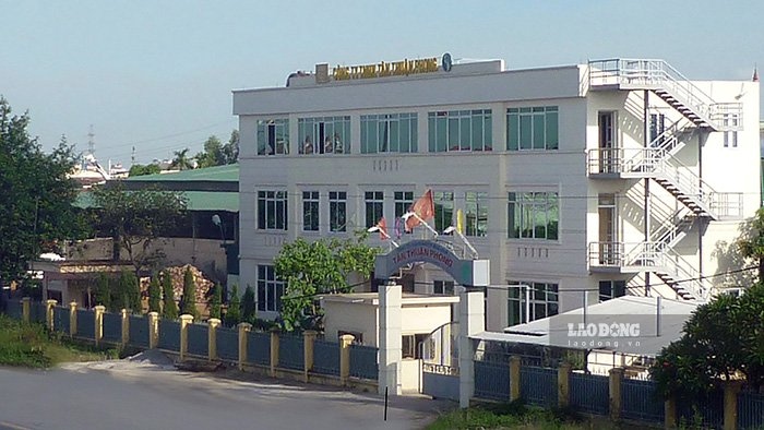 Giám đốc Công ty Tân Thuận Phong ở Hải Phòng bị truy tố 2 tội danh