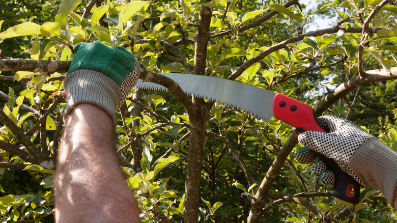 Quickly sharpen your Japanese pruning saw with a compact, easy-to-use ...