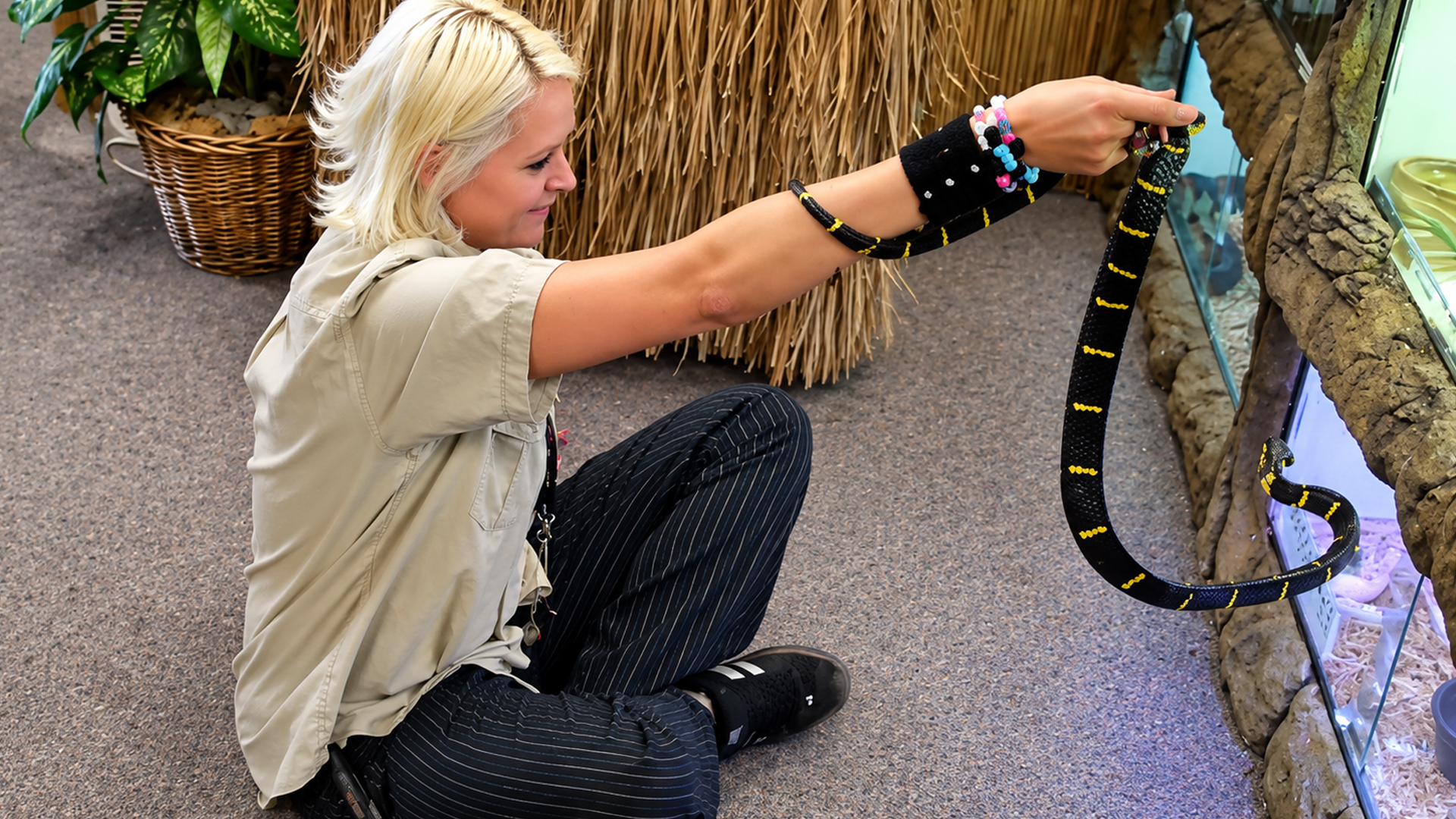 Snake’s fiery personality shows during a home upgrade