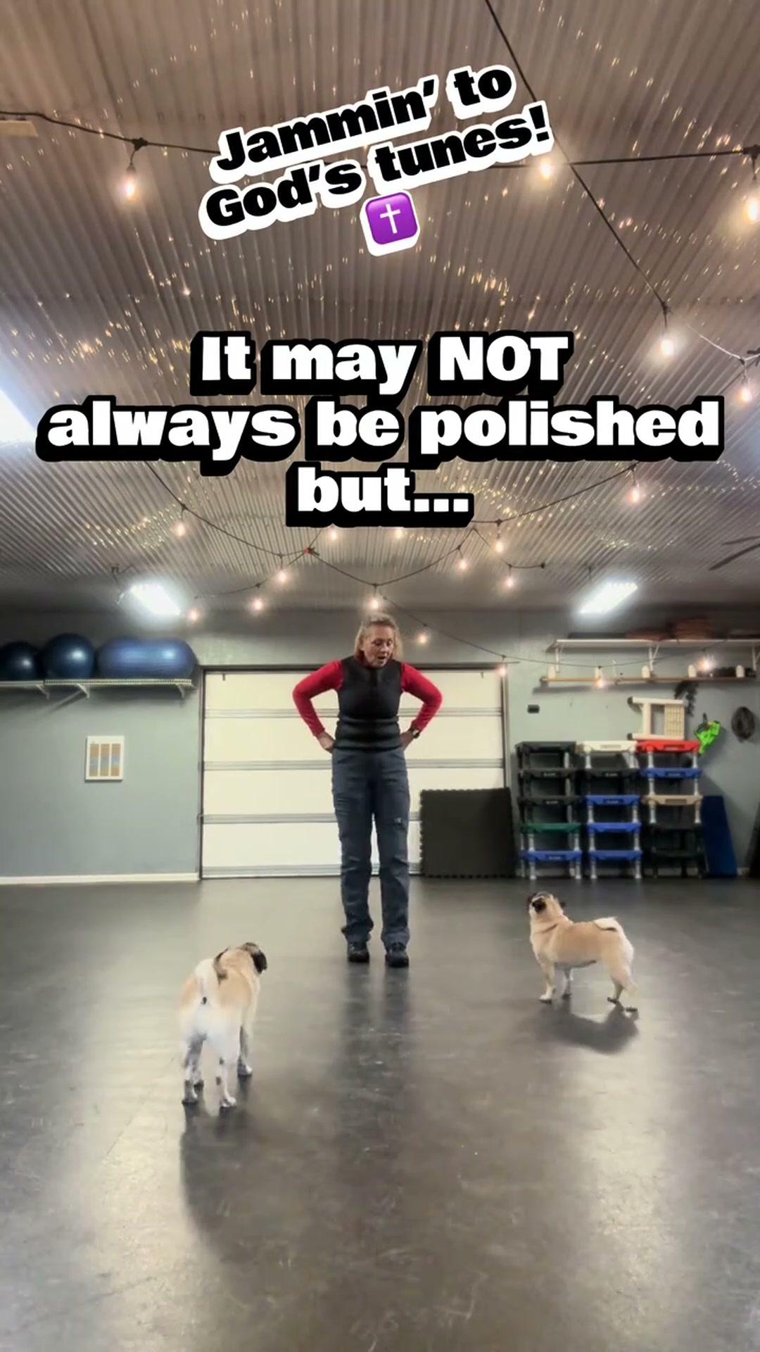 Joyful pug dance training in a positive vibe