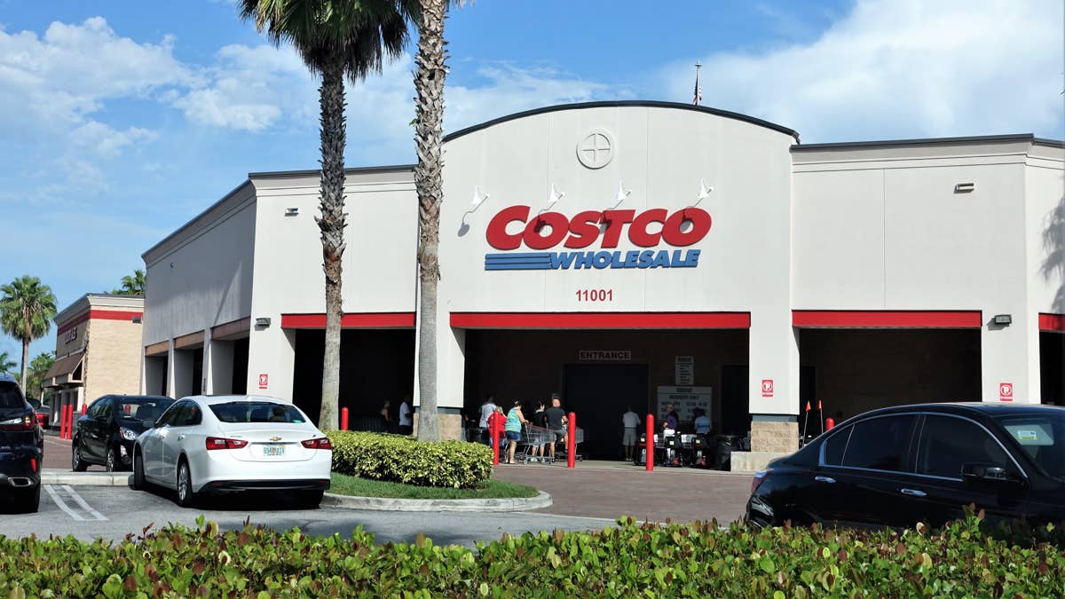 Brighten up nighttime adventures with your dog using Costco's stylish ...