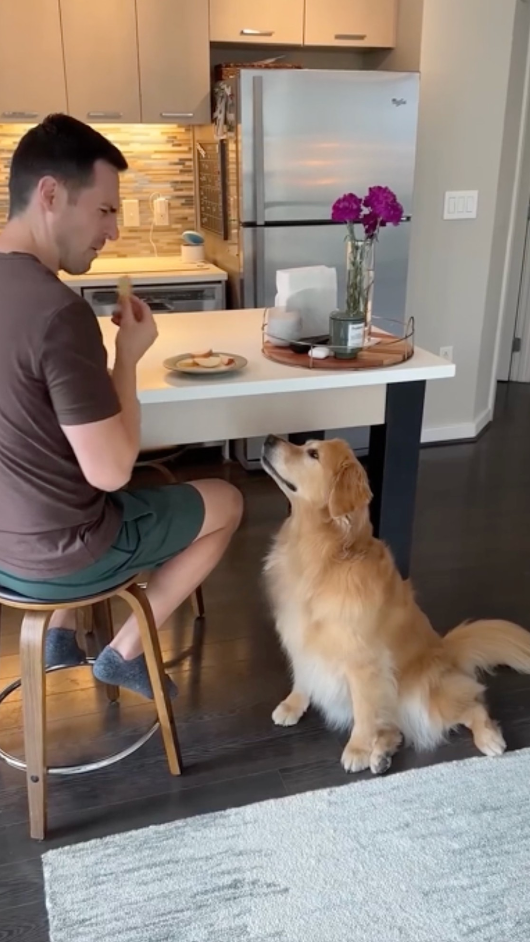 A golden retriever acts so much like a person that it clearly has no ...