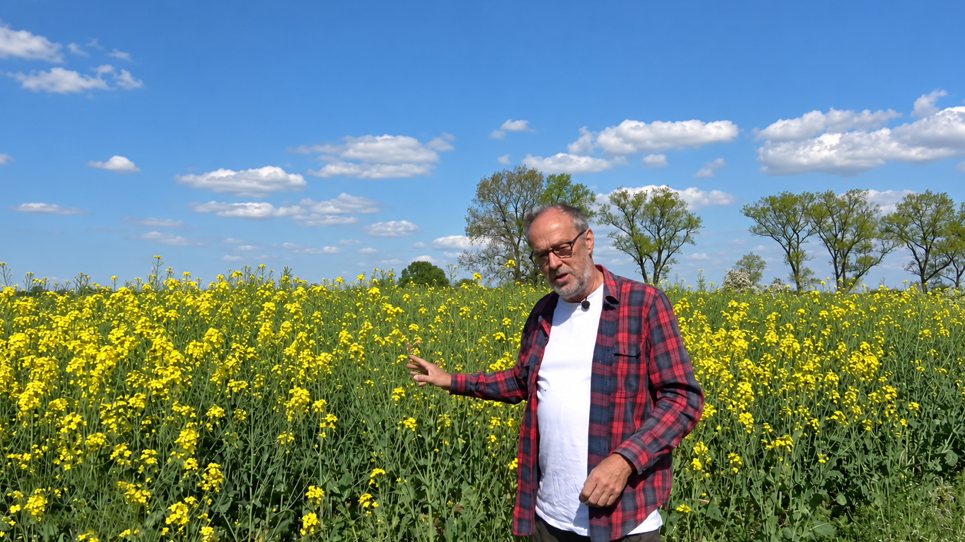 This farm faces a £12,000 loss despite recovering crops