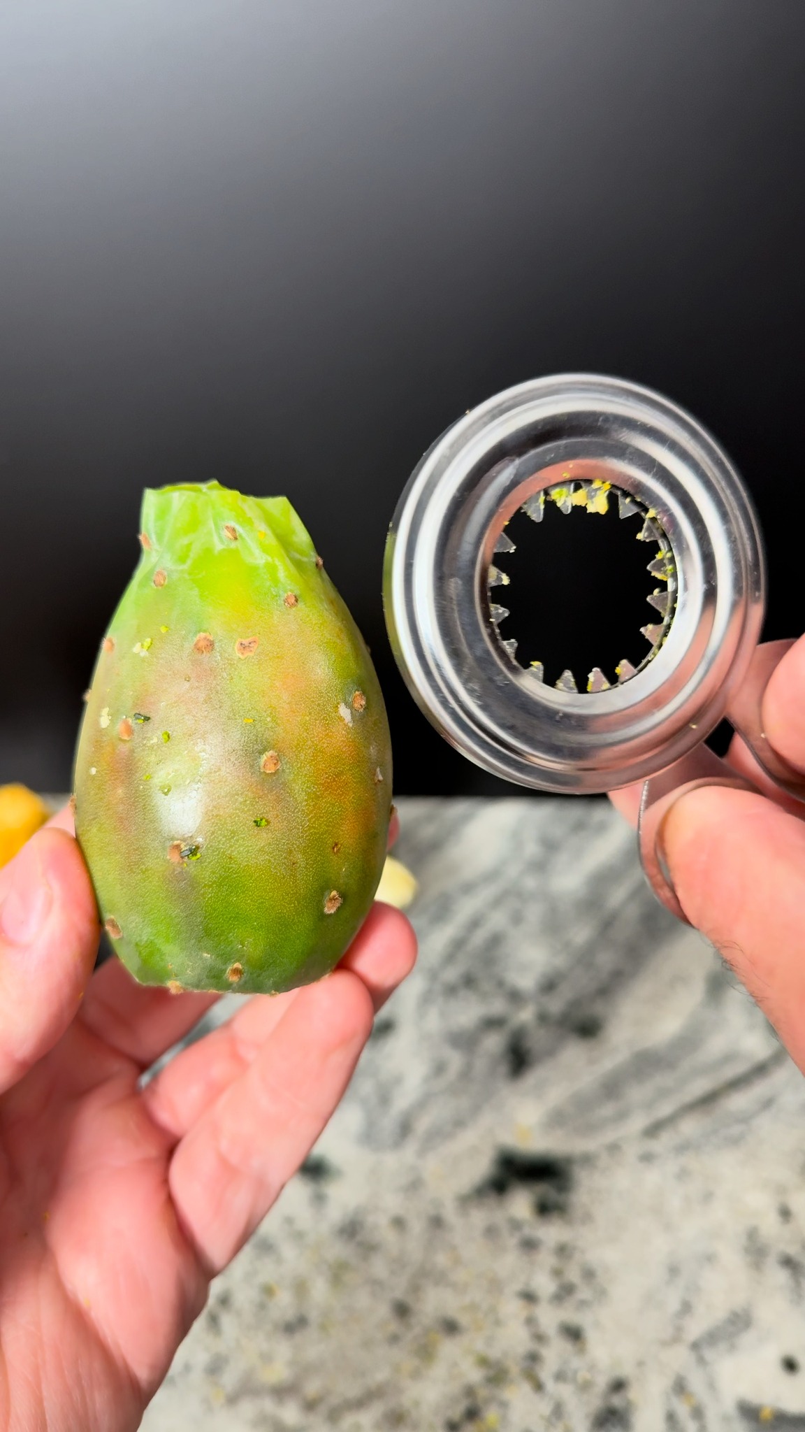 Cactus vs. egg cutter satisfying tool test