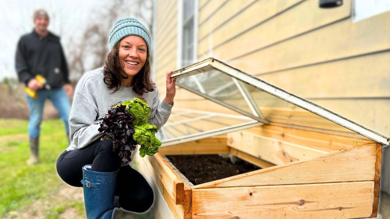 When even a simple cold frame project doesn’t go as planned 🌱