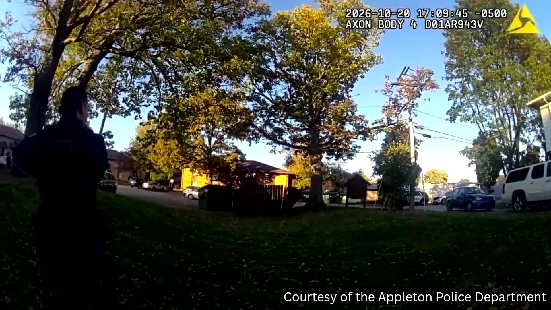 Wild encounter: Deer breaks into empty Appleton apartment through window