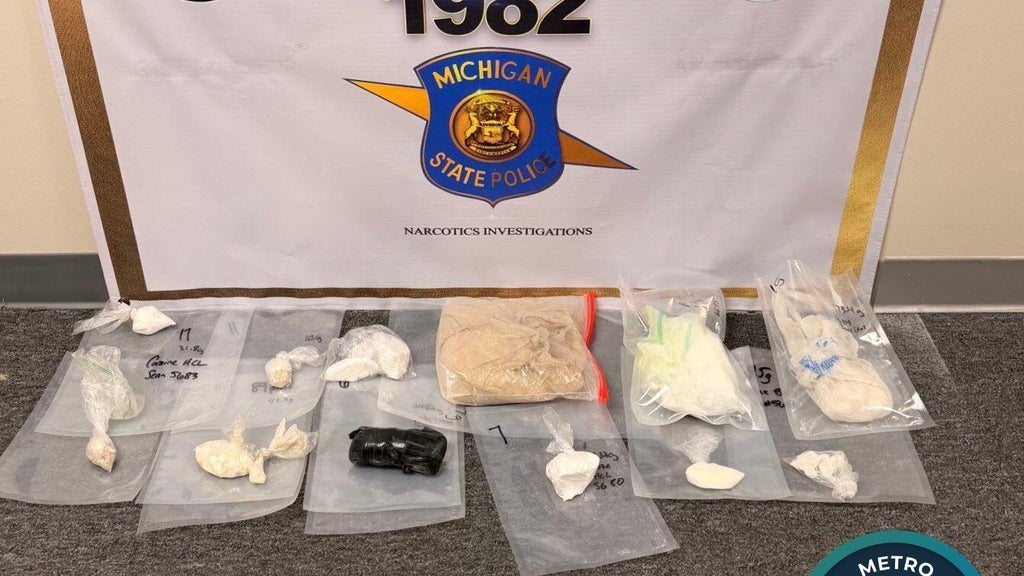 Over 2,000 grams of fentanyl seized as result of probe into Metro ...