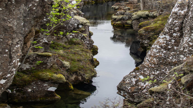 Iceland's most famous snorkel site offers some of the world's clearest ...