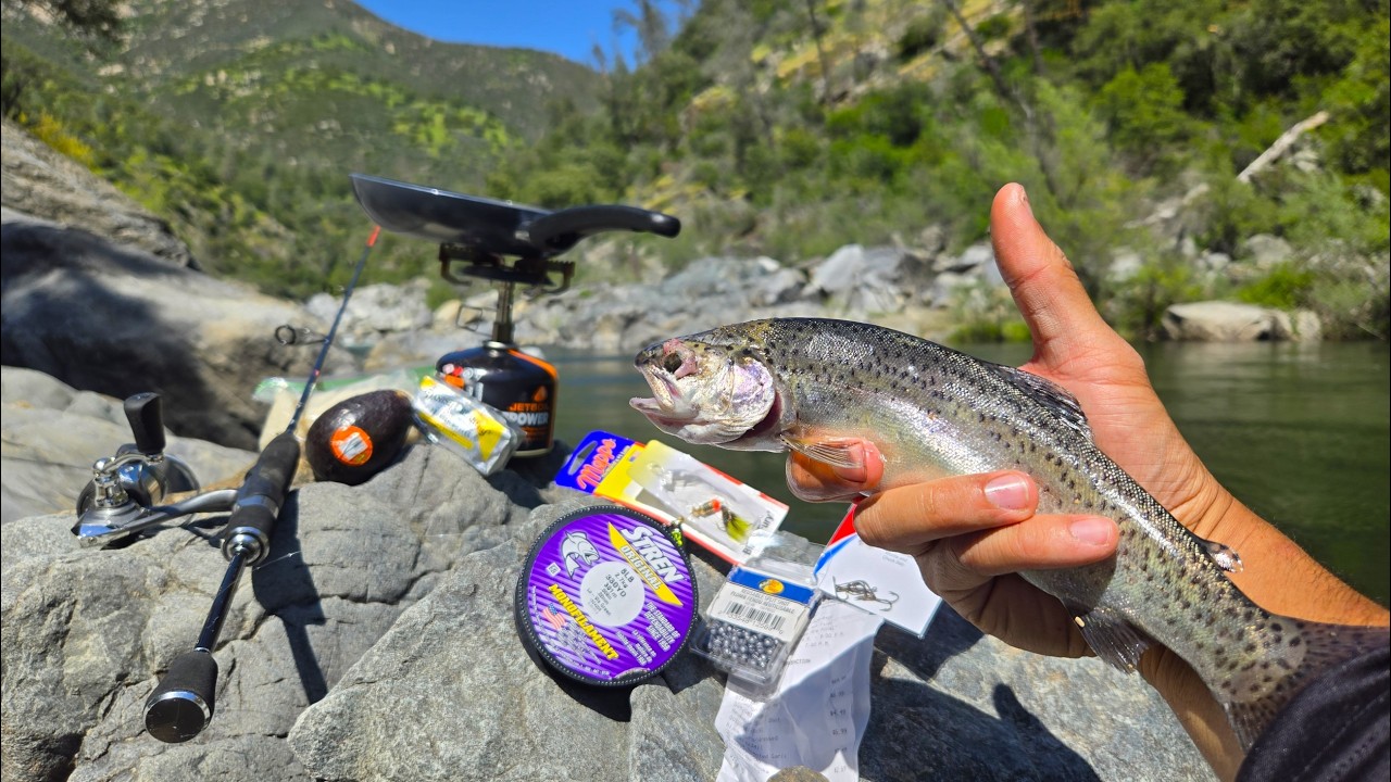 How to fish trout for beginners in rivers and streams