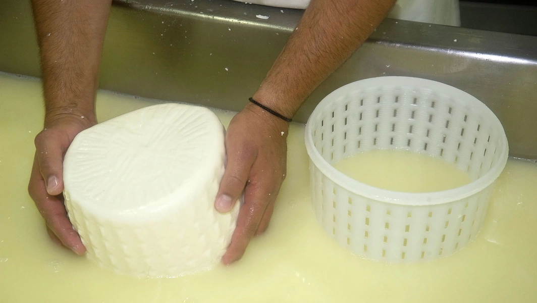 Cheese lovers’ guide to savoring every bite