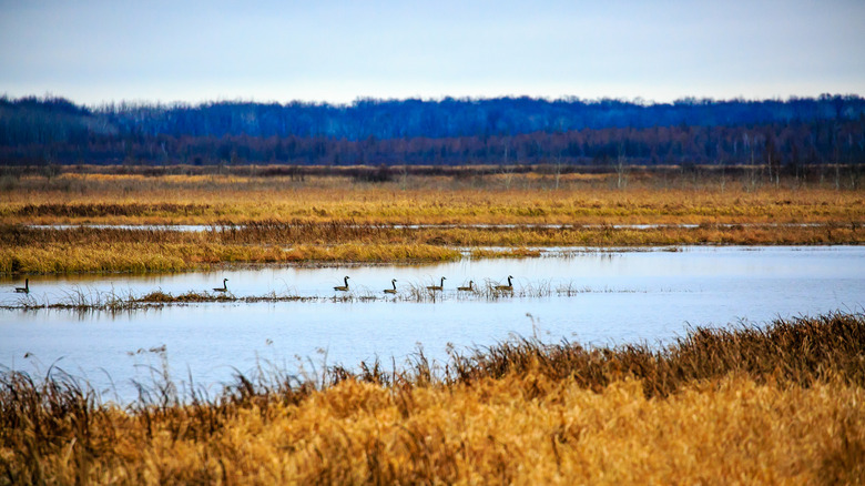 Between Minneapolis and Green Bay is an idyllic nature escape with ...