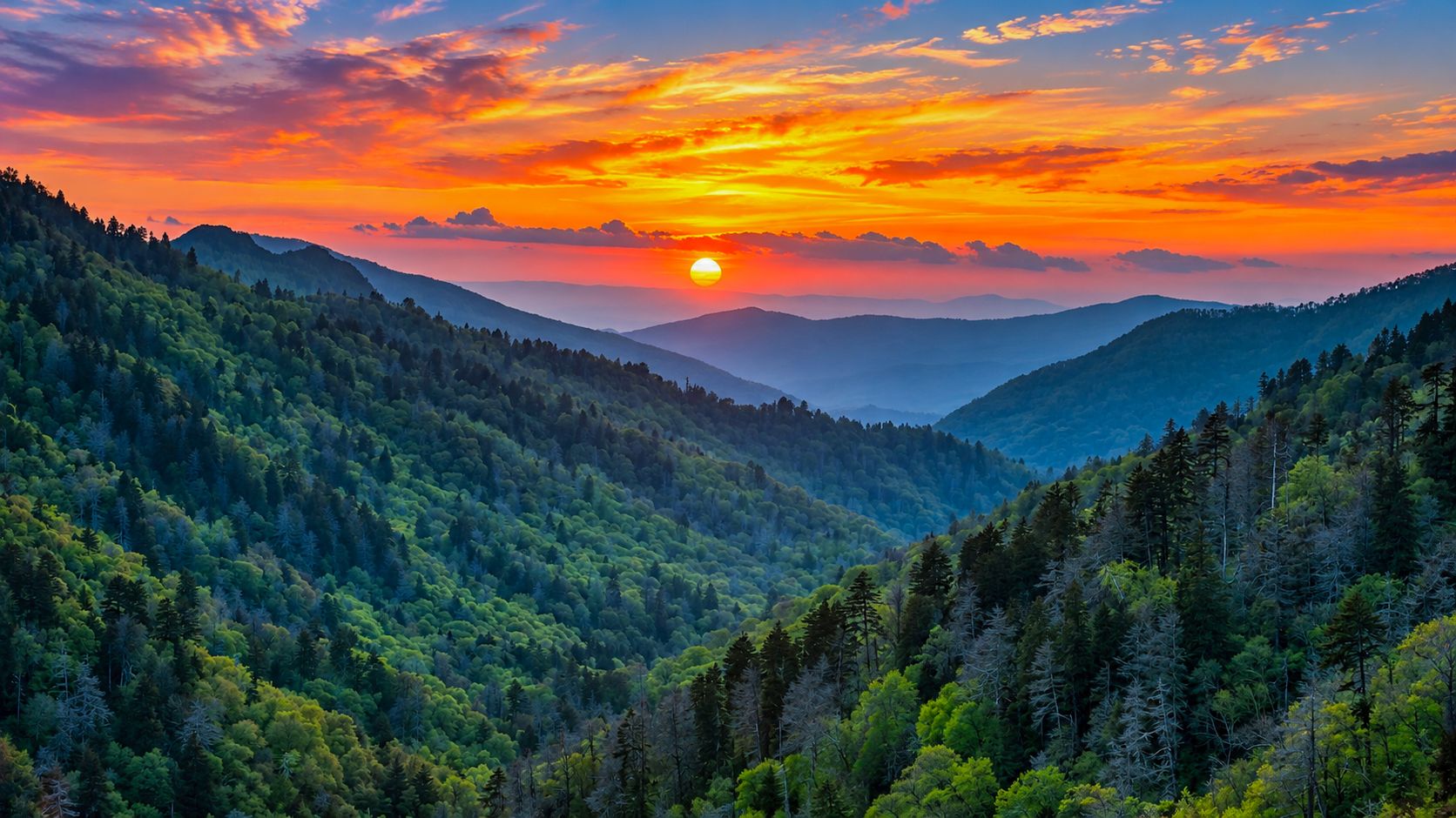 I explored America’s most visited national park: Here are my first-time ...