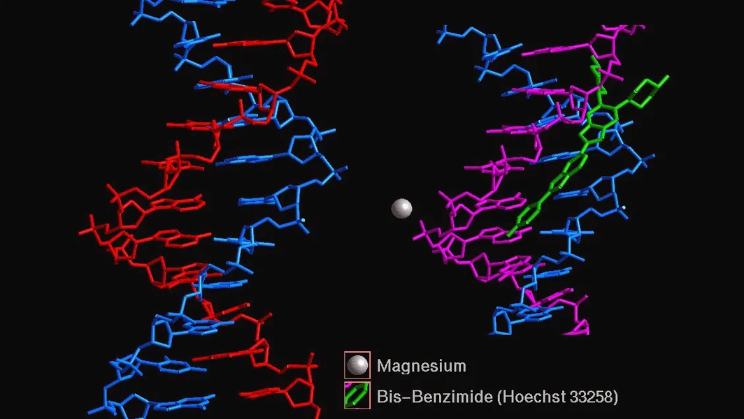 Organic and inorganic molecular examples
