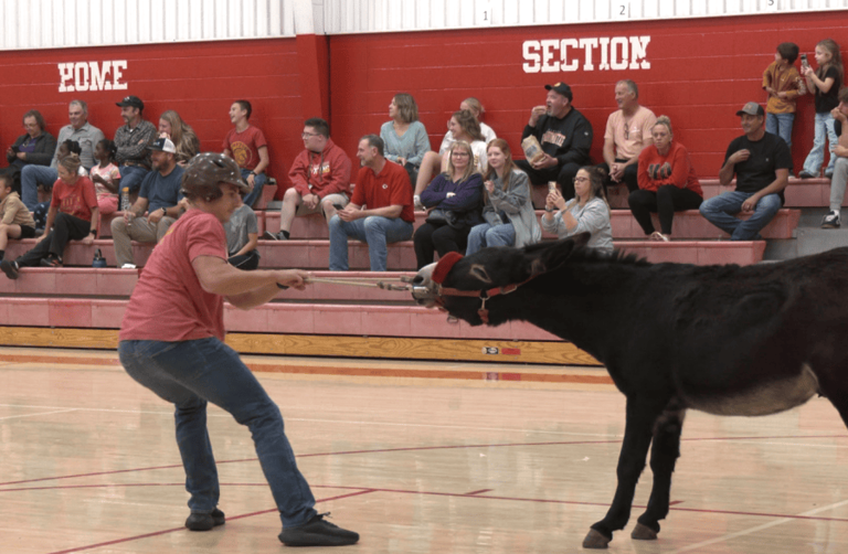 Donkey basketball draws crowds for Columbus fundraising