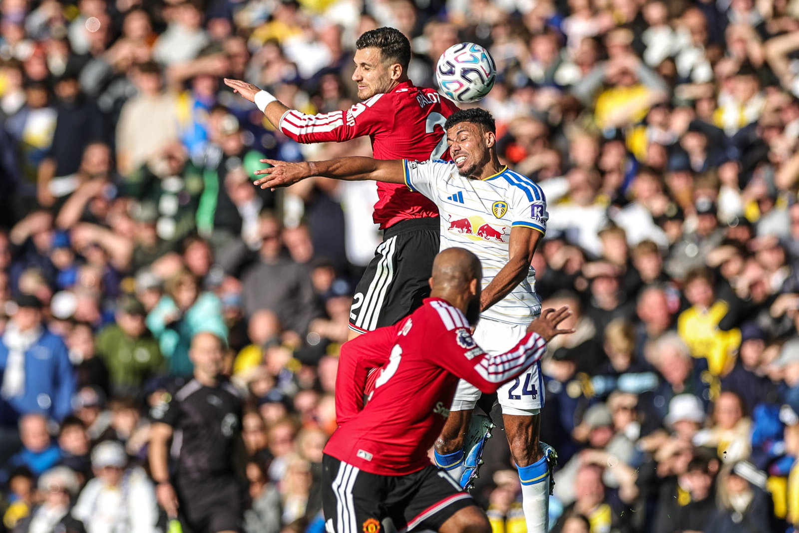 Daniel Farke delivers brutal Leeds reality check after Man Utd draw ...