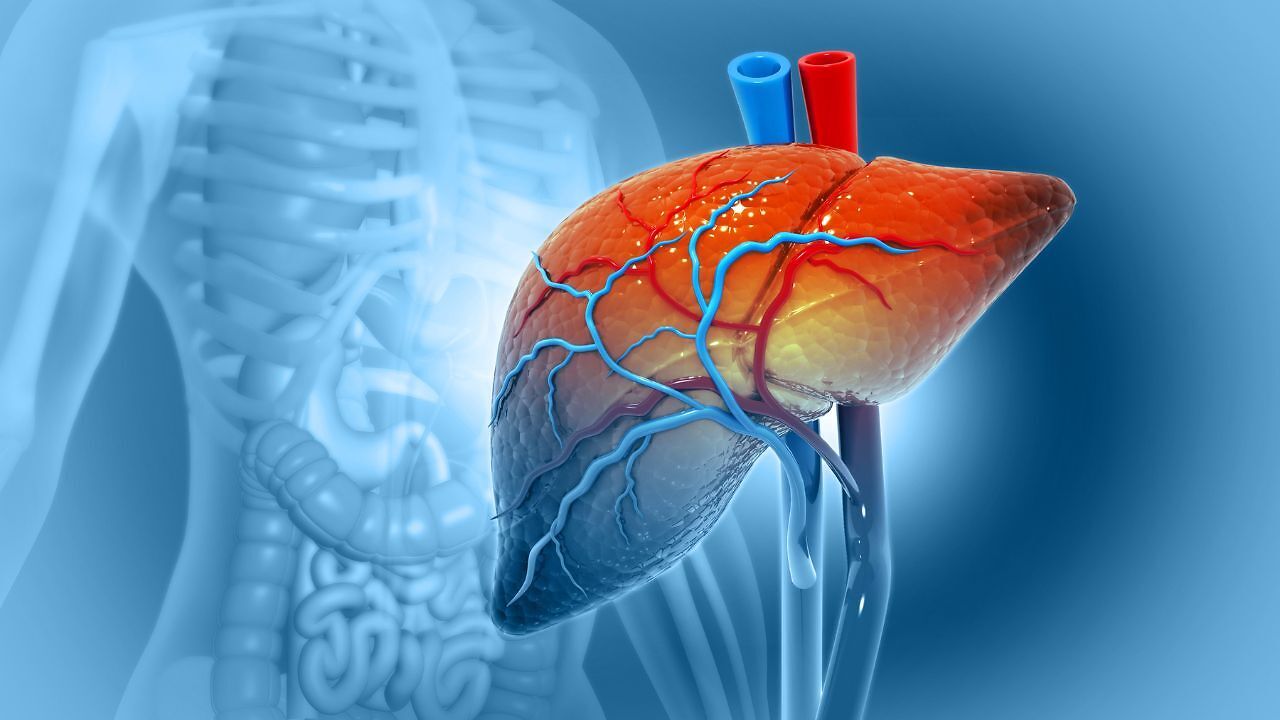 AIIMS surgeons map two anatomical warning zones to cut bleeding in ...