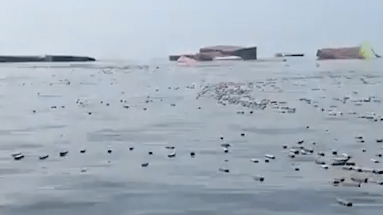Iraner fischen iPhones aus Straße von Hormus