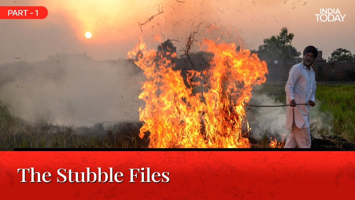 The 25-day trap: Why India's farmers burn their straw every October