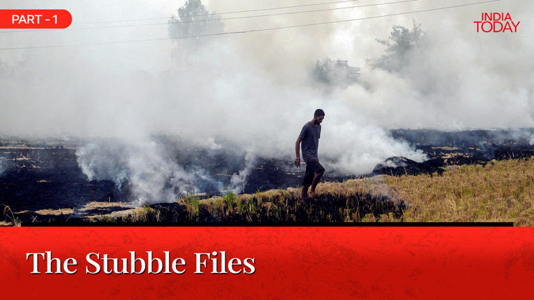 The 25-day trap: Why India's farmers burn their straw every October