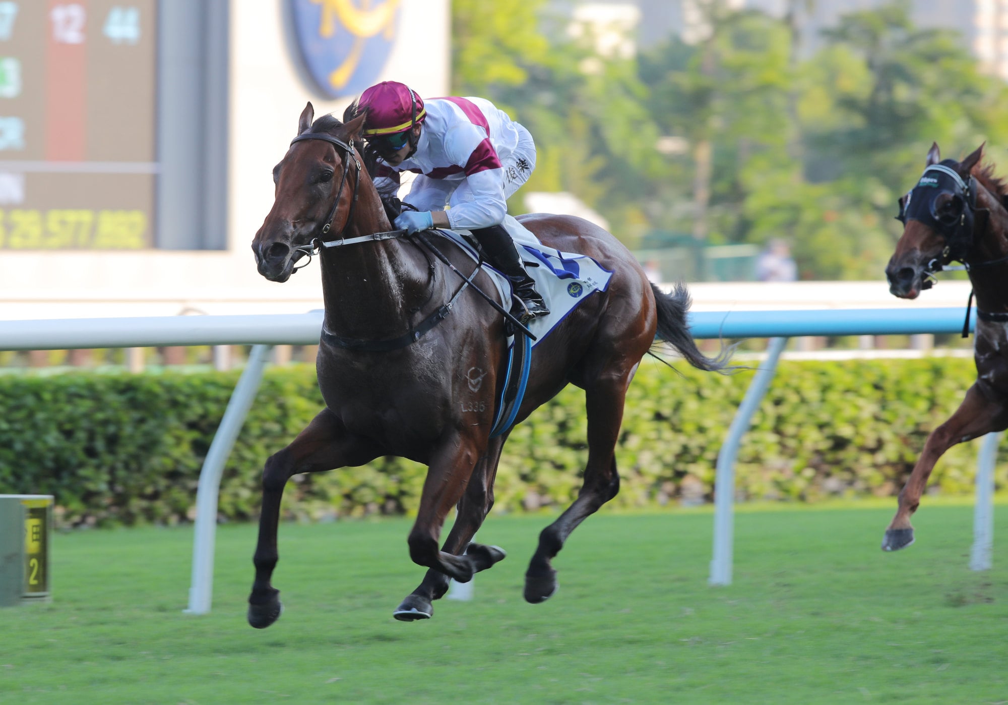 James Cummings celebrates first Hong Kong win after Grand Eagle soars ...