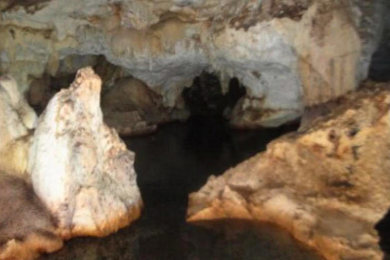 When scientists went into a flooded cave in Jamaica, they found a large ...