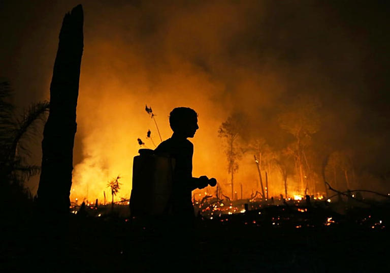 Deforestacja Amazonii w Brazylii na rekordowo niskim poziomie, El Niño ...