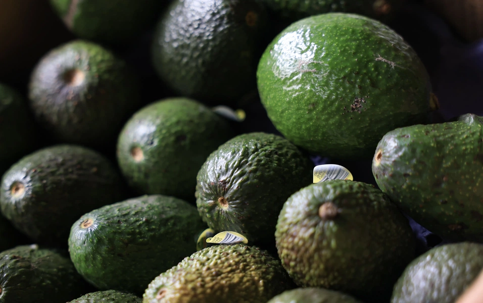 Avocado salad dressings that change everything