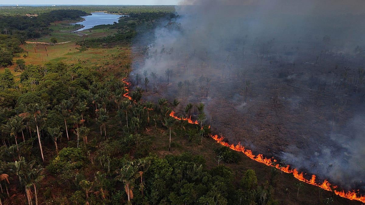 Deforestacja Amazonii w Brazylii na rekordowo niskim poziomie, El Niño ...