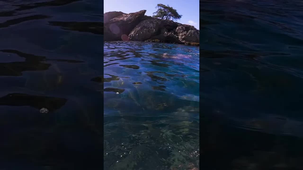 A diver removes tangled fishing line from a reef in about 10 minutes
