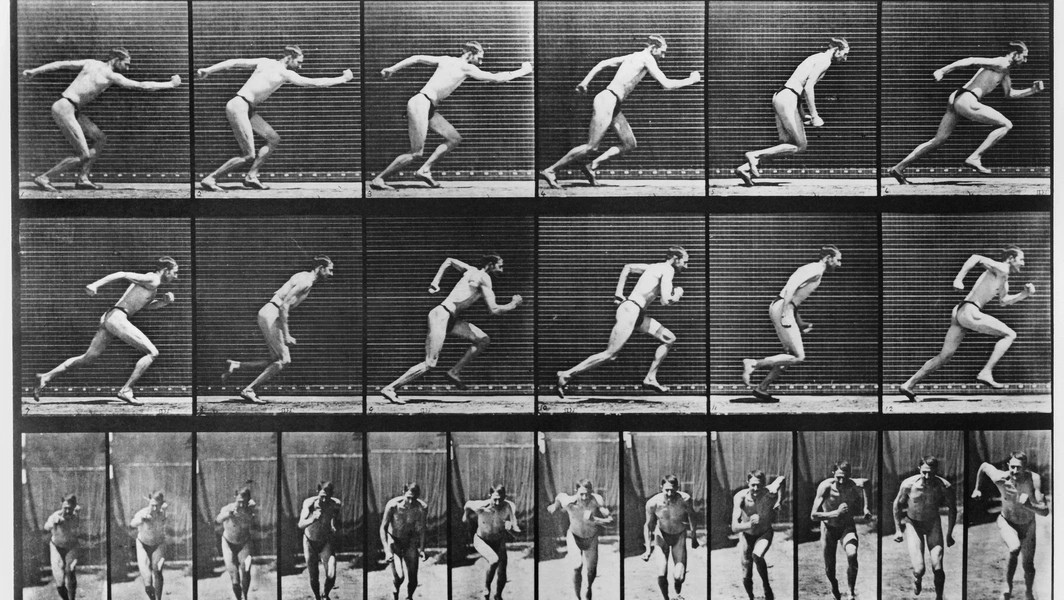 How biomechanics shapes movement and performance