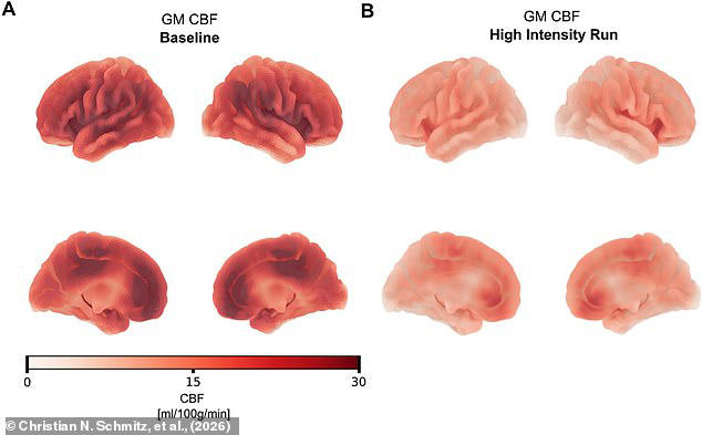 Scientists uncover a simple breathing exercise that can induce an ...