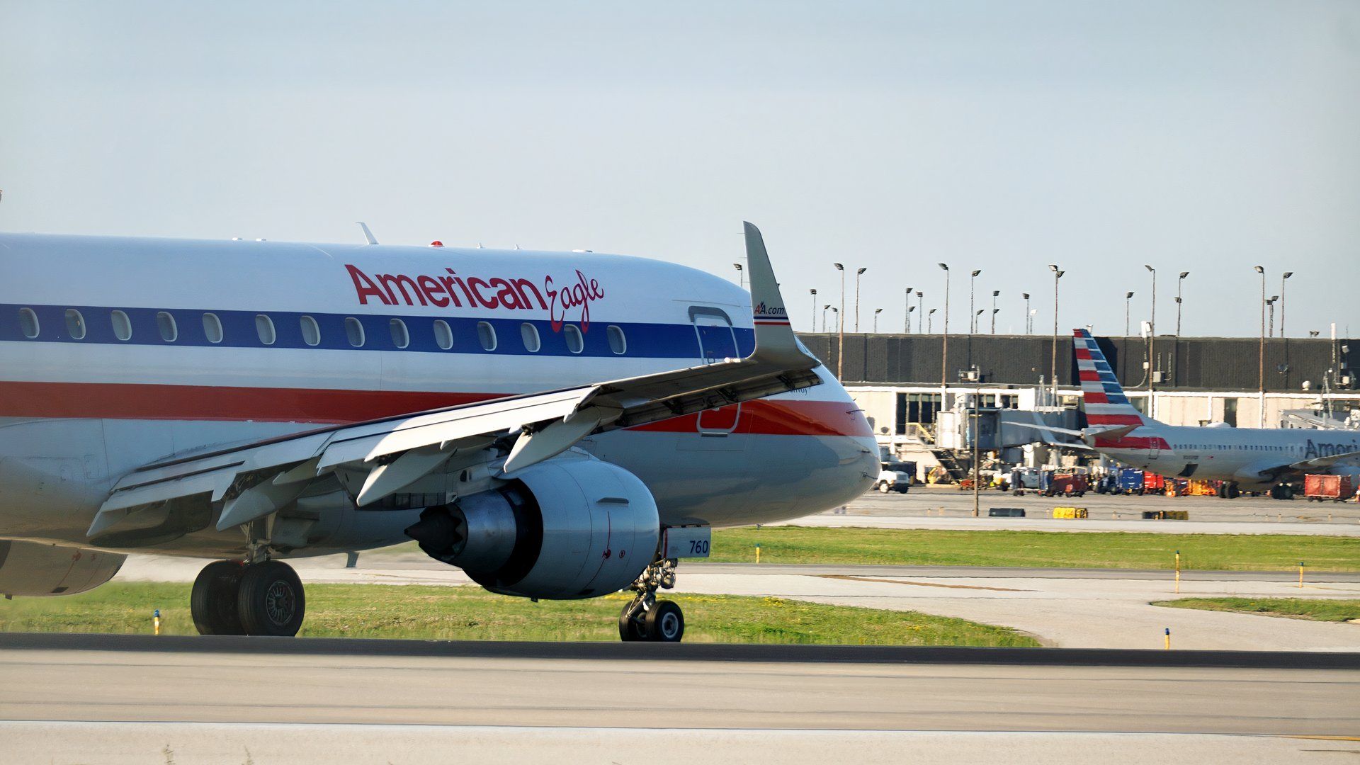 Fight, not flight: Exotic bird attacks passengers inside Chicago O'Hare ...