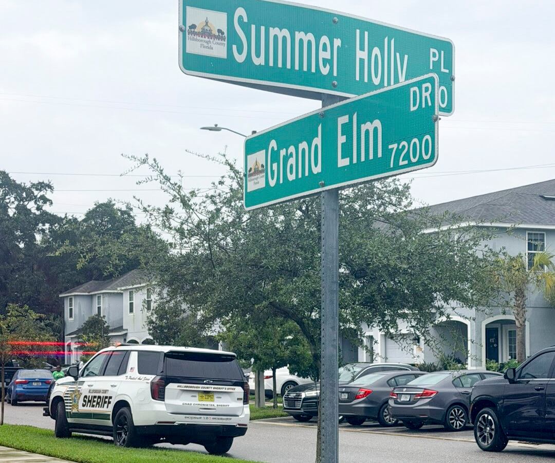 Missing autistic boy, 5, dies after deputies find him in Riverview ...
