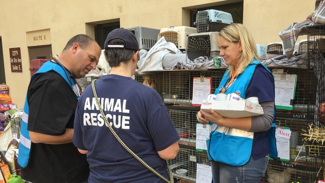 7 inspiring animal rescue and conservation stories
