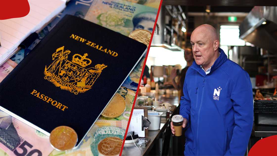 New Zealand introduces new visa rules affecting 9 categories in ...