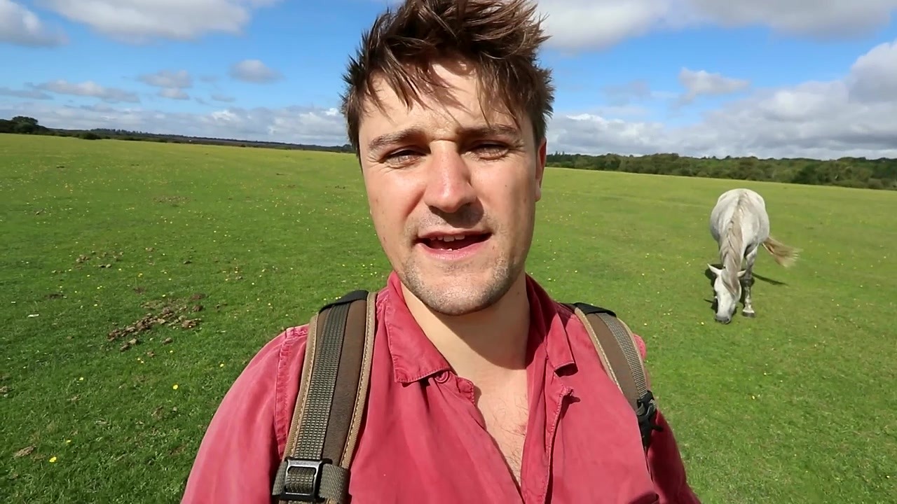 A UK national park faces new environmental challenges