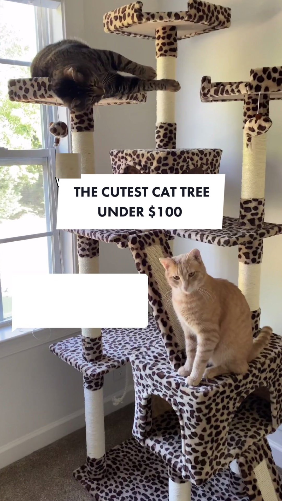 Stylish cat furniture ideas that double as home decor