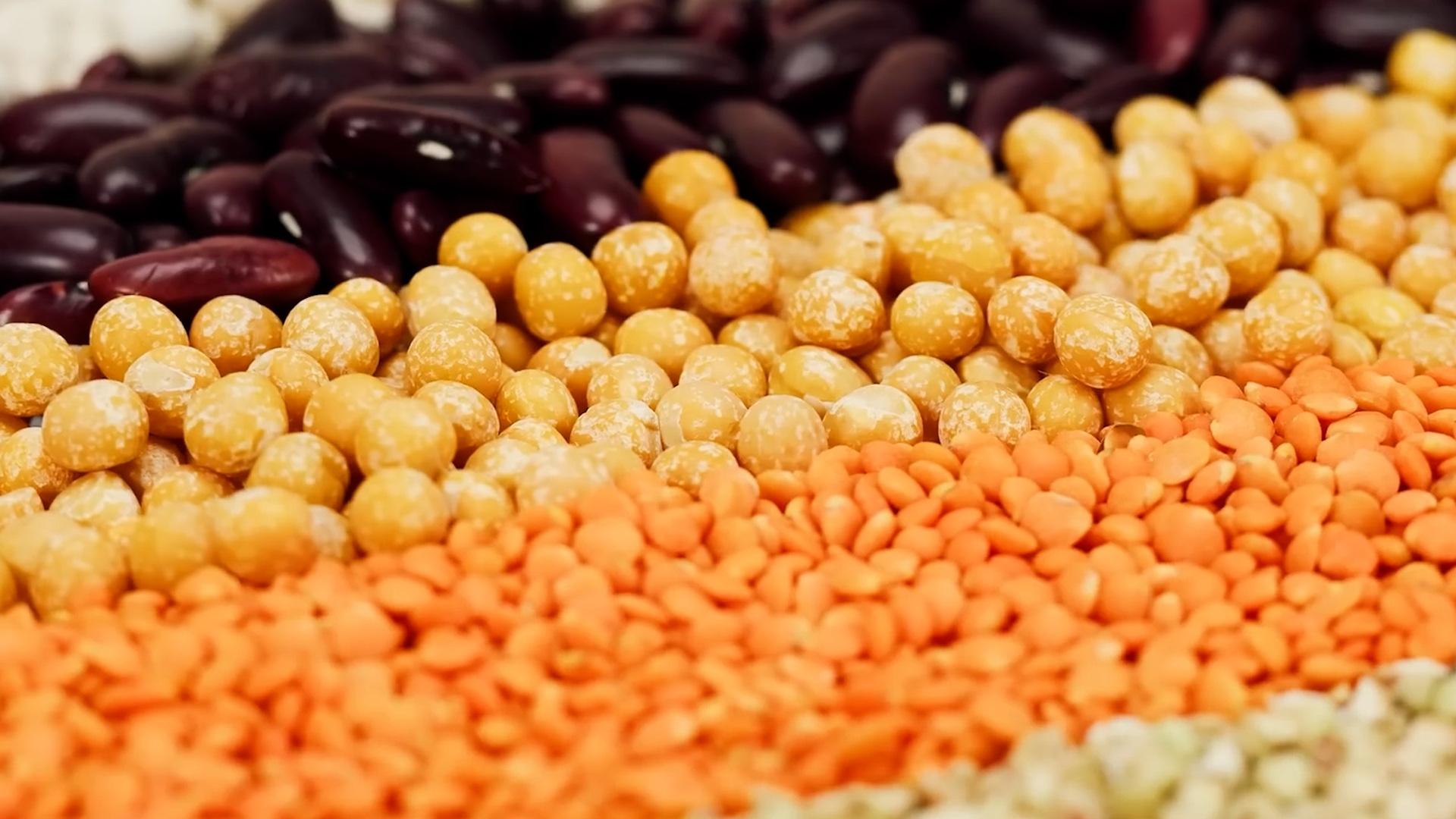 The ten superfoods with real science behind them, according to doctors