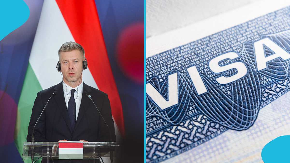 Hungary publishes who can obtain citizenship through simplified ...
