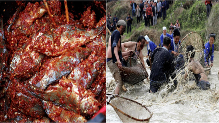 Animals in Chinese rice paddies: Ducks, fish cut chemicals; pest ...