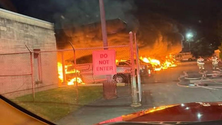 Fire destroys nearly 30 utility vehicles at Waldorf Verizon store