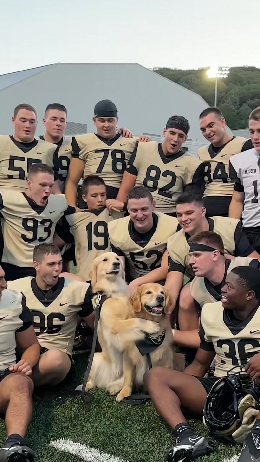 Two golden retrievers’ journey across 14 countries and 37 states is a ...