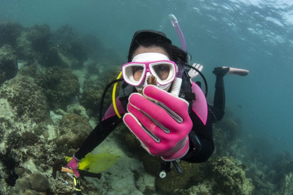 Tiny organisms from Earth’s oceans to be blasted to International Space ...