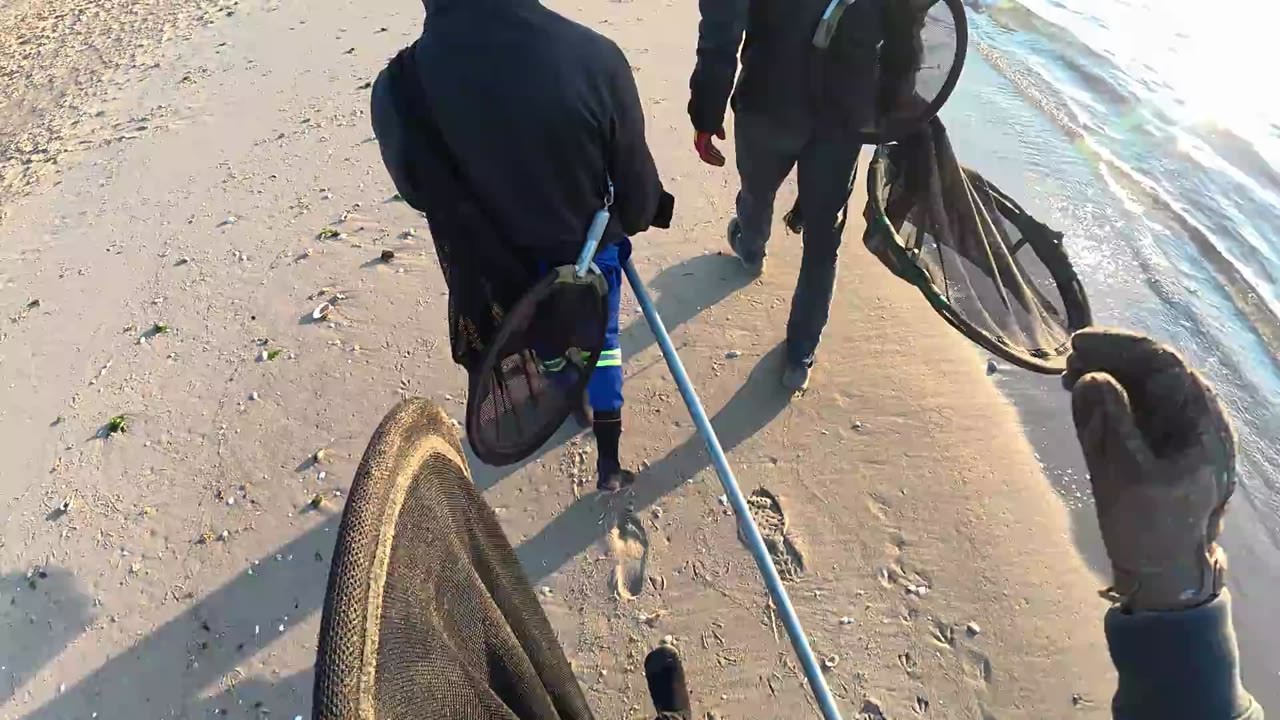 A seal tries to escape a rescue team in Namibia