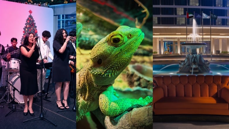 9 fun things to do this week in Abu Dhabi: October 19 to 22