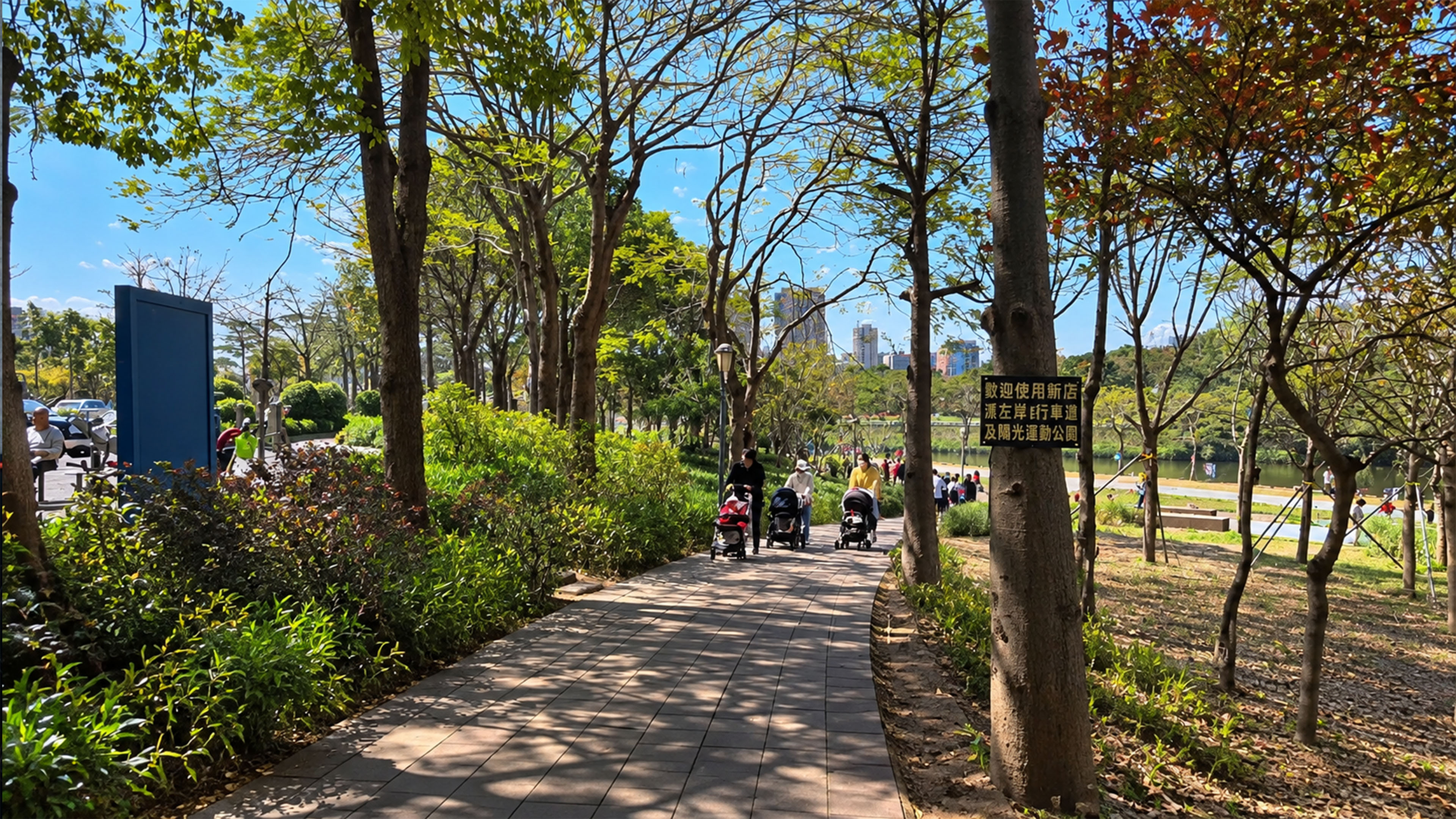 Families walk beneath shady trees in this China park